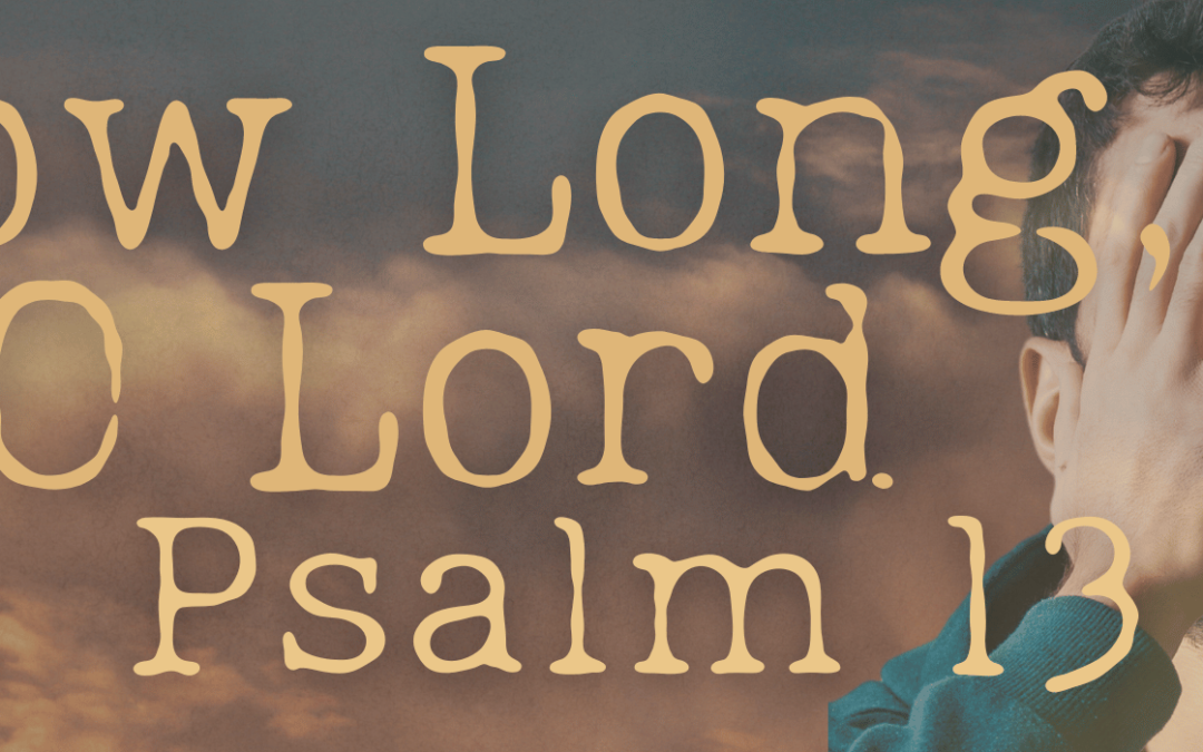 How long, O Lord? How long?