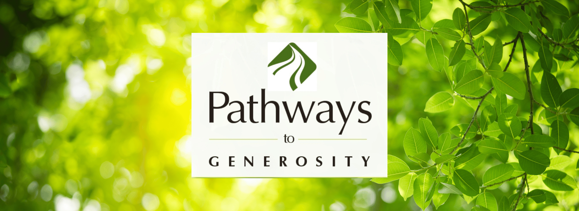 Pathways to Generosity Weekly Word Nov 12 2023