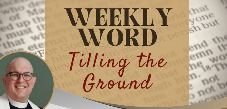 Weekly Word Sept 13