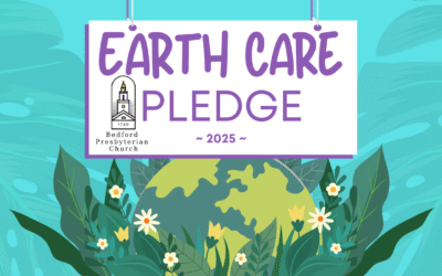 Earth Care Pledge