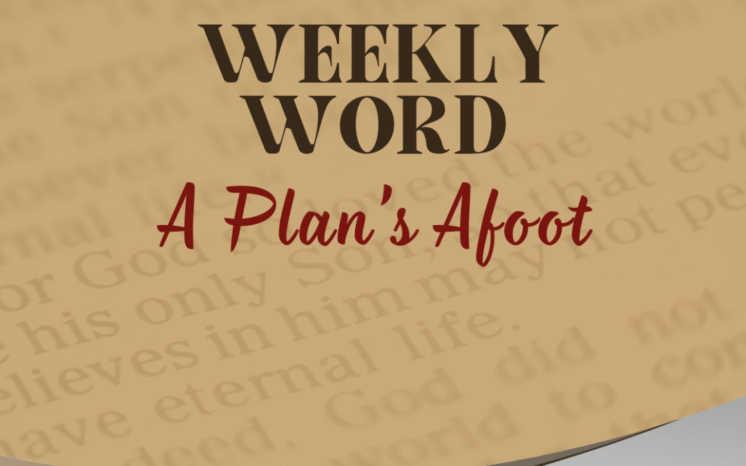 A Plan’s Afoot
