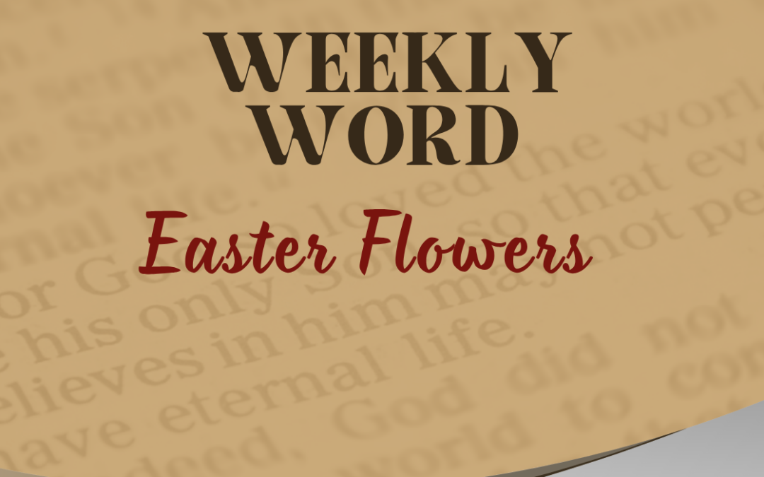Easter Flowers