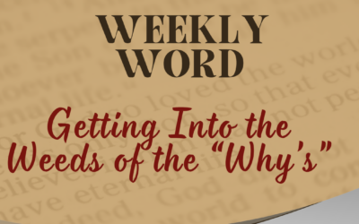 Getting Into the Weeds of the “Why’s”